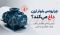 چرا روتس بلوئر ارزن داغ می‌ کند؟